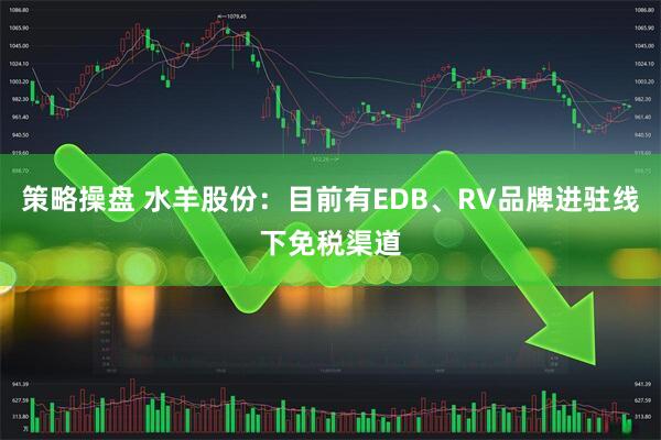 策略操盘 水羊股份：目前有EDB、RV品牌进驻线下免税渠道