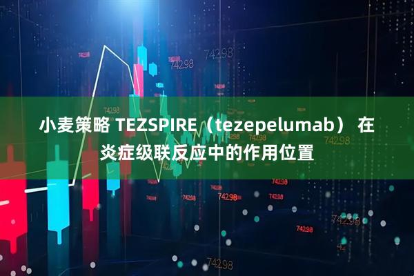 小麦策略 TEZSPIRE（tezepelumab） 在炎症级联反应中的作用位置