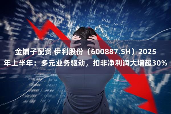 金铺子配资 伊利股份（600887.SH）2025年上半年：多元业务驱动，扣非净利润大增超30%