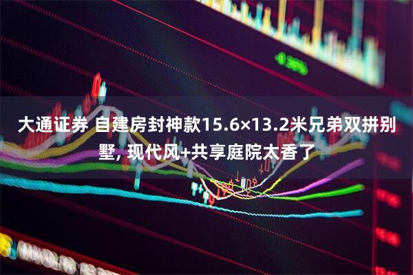 大通证券 自建房封神款15.6×13.2米兄弟双拼别墅, 现代风+共享庭院太香了